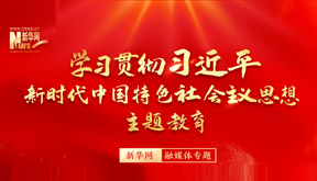 学习贯彻习近平新时代中国特色社会主义头脑主题教育_美高梅