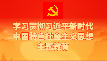 学习贯彻习近平新时代中国特色社会主义头脑主题教育_美高梅