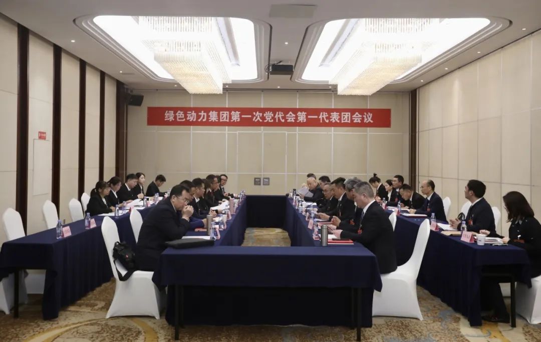 铭刻使命再出发，，，，代表热议“两委”报告